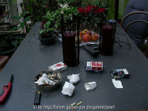 Advent im Wintergarten nach der Party