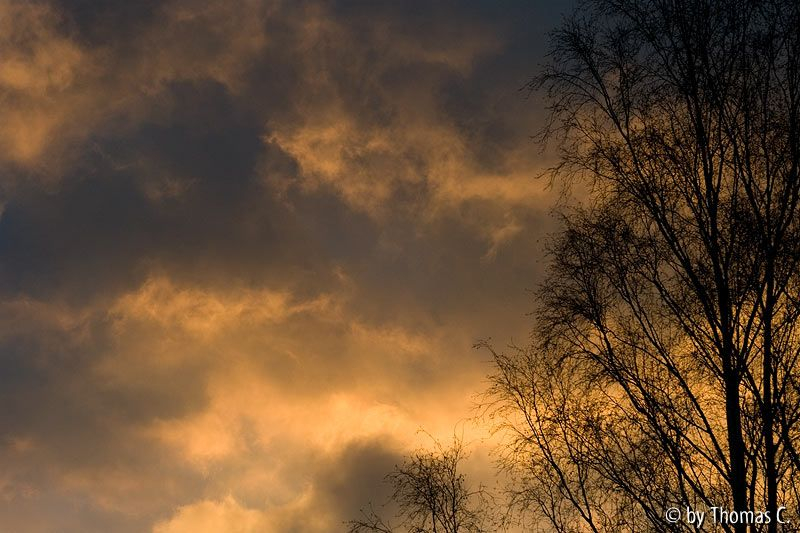 Abendwolken und Kulissen 2
