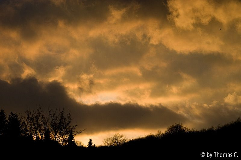 Abendwolken und Kulissen 1
