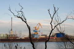 Dezember am Rhein 3