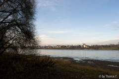 Dezember am Rhein 2