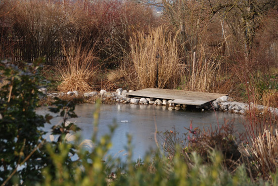 Teichdeck