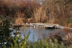 Teichdeck