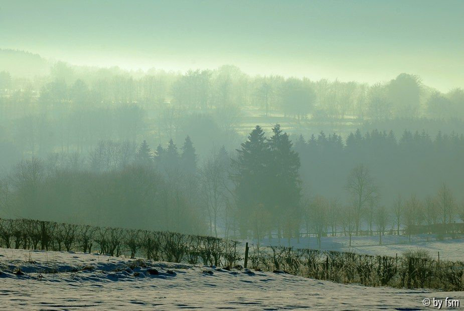 Hohes Venn 2 16-12-2008