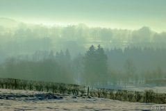 Hohes Venn 2 16-12-2008