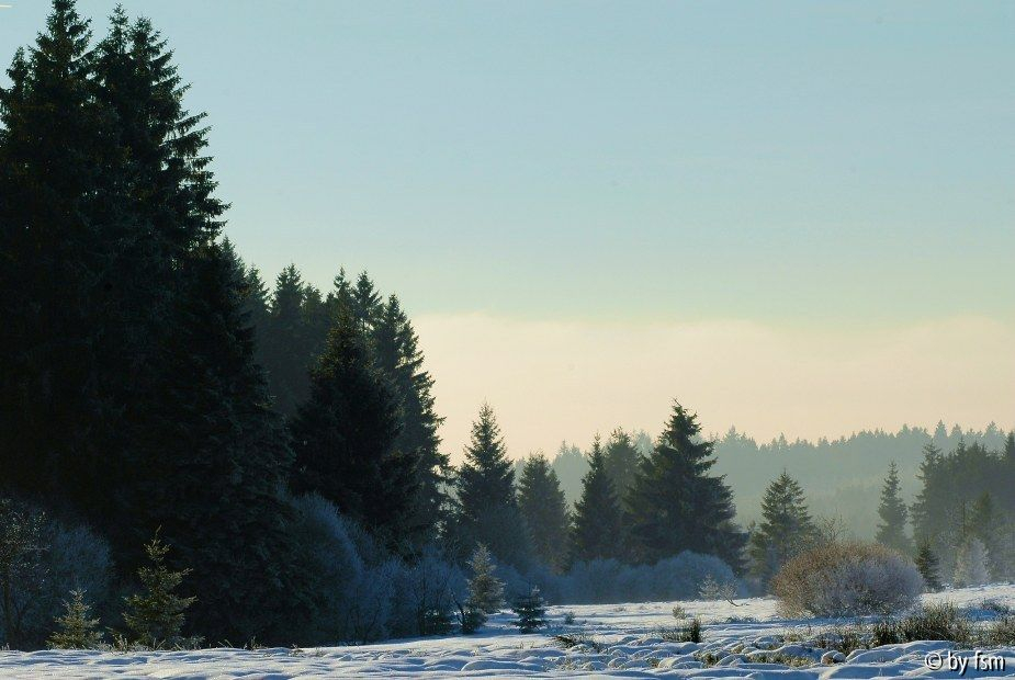 Hohes Venn 4 16-12-2008