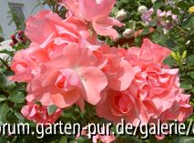 Jardins de France