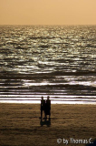 Belgische Küste - De Haan - Nordsee abends