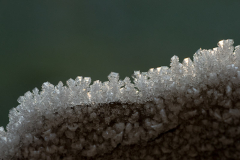 Reifkristalle 30-12-08