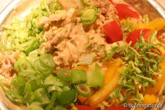 tunfisch+gemüsesalat
