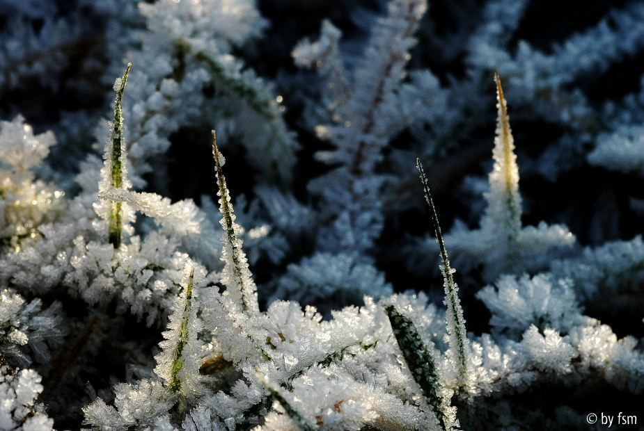 Frost 3 28-12-2008