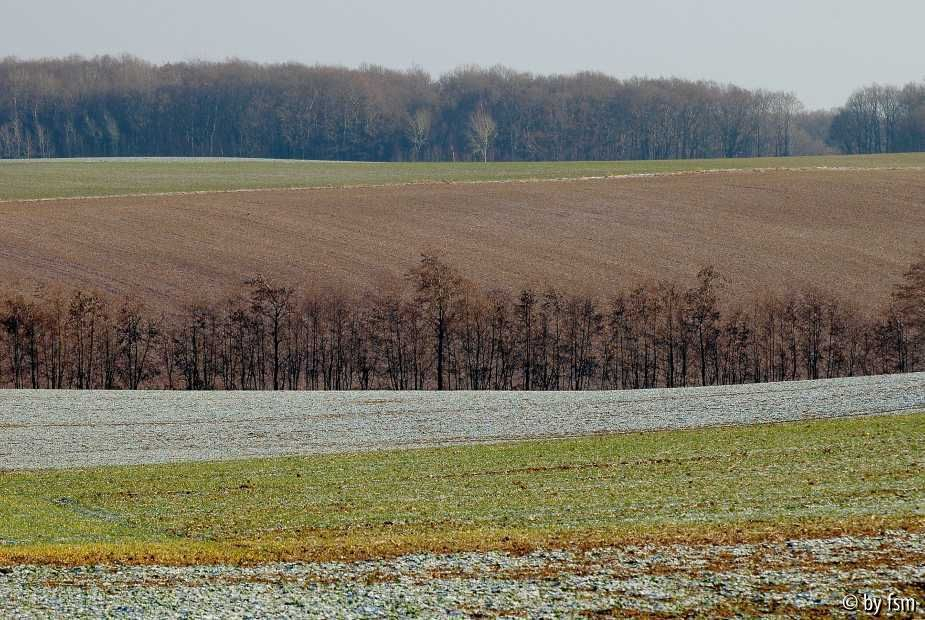 Feldansichten 4 28-12-2008