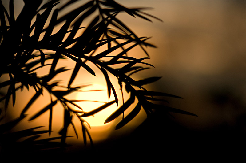 Letzter Sonnenuntergang 2008