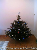PICT0018, kl_30, Weihnachtsbaum.JPG