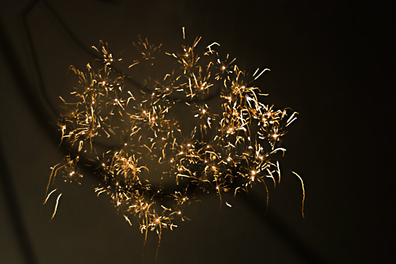 Flittergold 2009