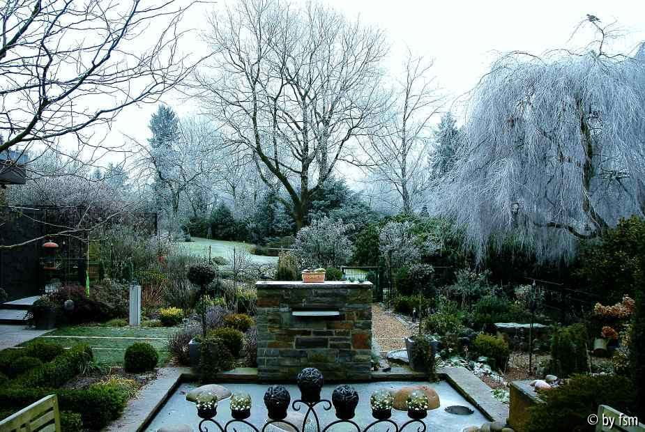 Gartenansichten 11 01-01-2009