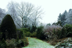 Gartenansichten 15 01-01-2009