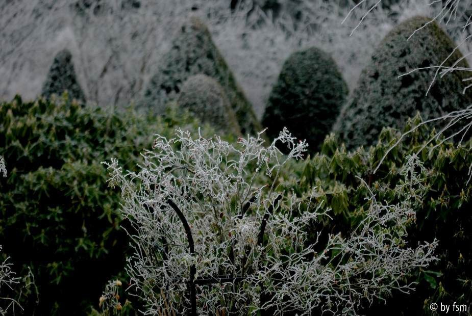 Gartenansichten 2 01-01-2009