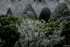 Gartenansichten 2 01-01-2009