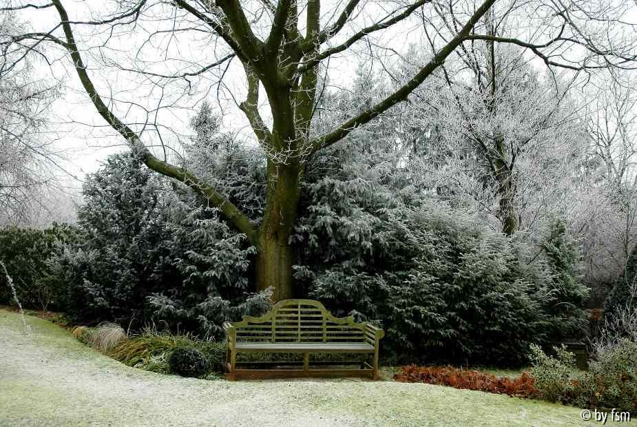Gartenansichten 4 01-01-2009