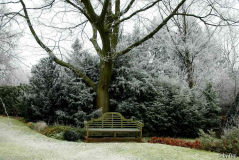 Gartenansichten 4 01-01-2009