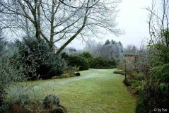 Gartenansichten 7 01-01-2009