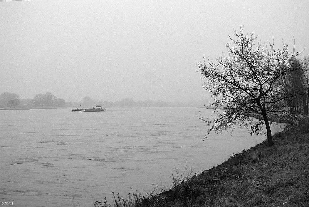 Januar 09-03