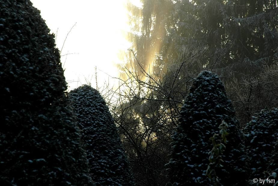 Gartenansichten 2 03-01-2009