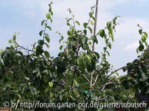 test - quitte