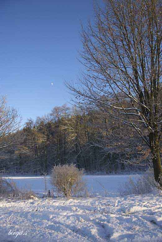 Januar 09-04