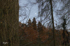Januar 09-05