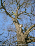 Hoch hinaus