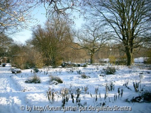 Winteraspekt