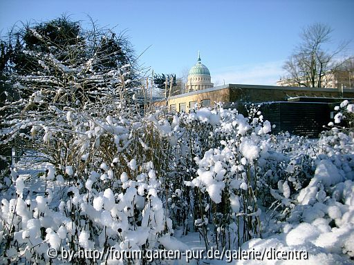 Schöner Ausblick