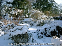 Foerster-Garten - Senkbeet