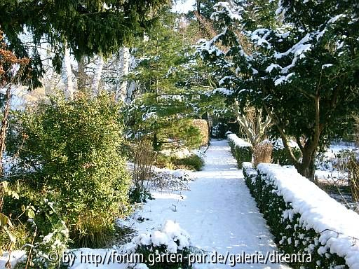 Foerster-Garten - Rundgang