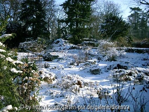 Foerster-Garten - Senkbeet, anderer Sichtwinkel