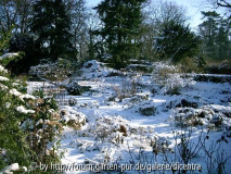 Foerster-Garten - Senkbeet, anderer Sichtwinkel