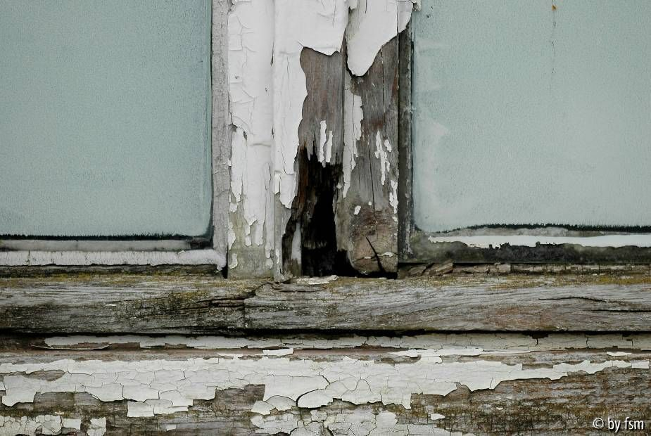 Holz 4 04-01-2009
