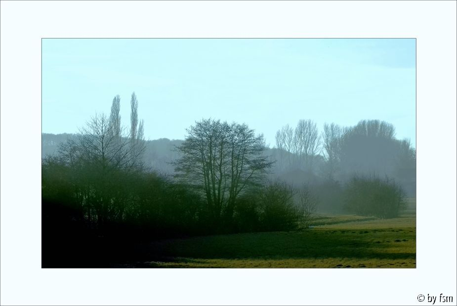 Wiesenansichten 1 14-01-2006