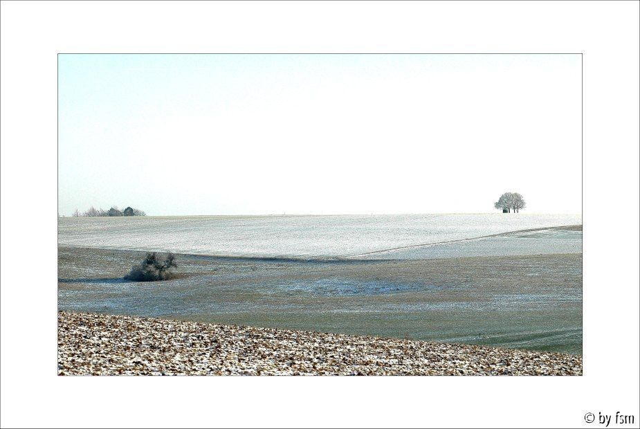 Feldansichten 2 03-01-2009