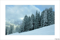 Flachau 24 24-01-2008