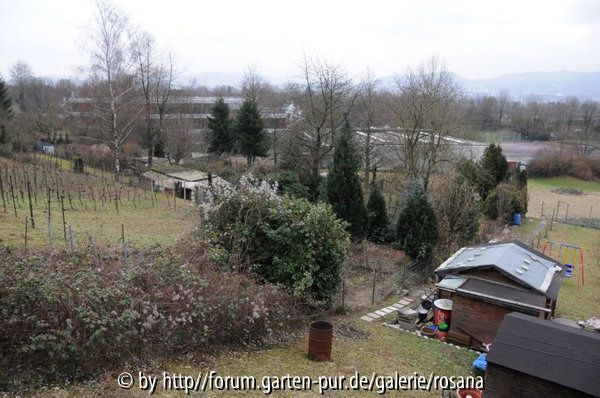 Garten von oben
