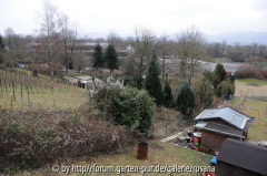Garten von oben