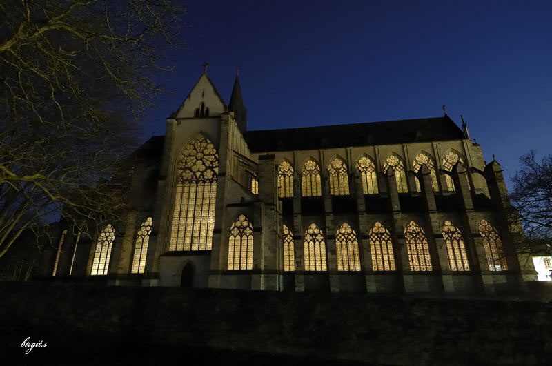 Altenberger Dom 25.01.