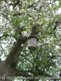 Vogelhaus