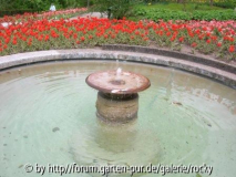 Brunnen mit Tulpen