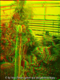 rot-grün