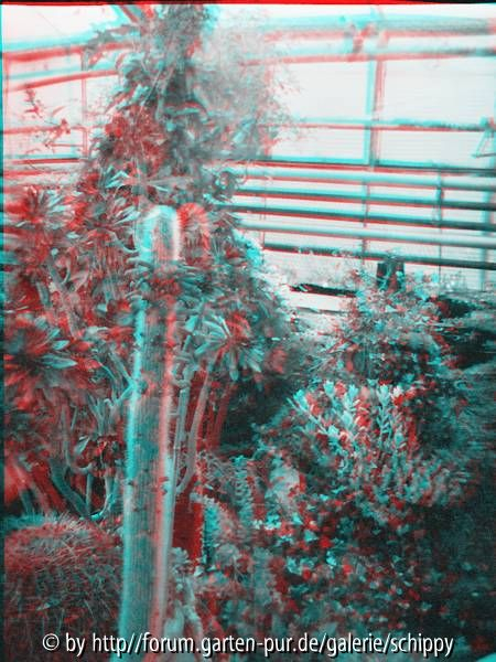 rot-cyan