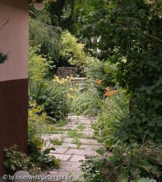 diverses: regentag im garten